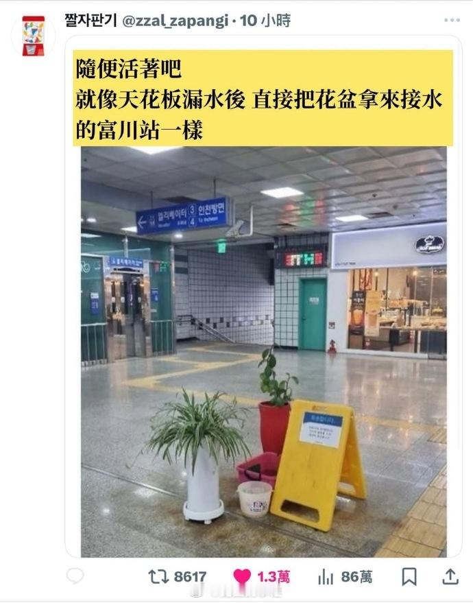 当你愿意面对事实时，才有能力种下不一样的东西。  ​​​