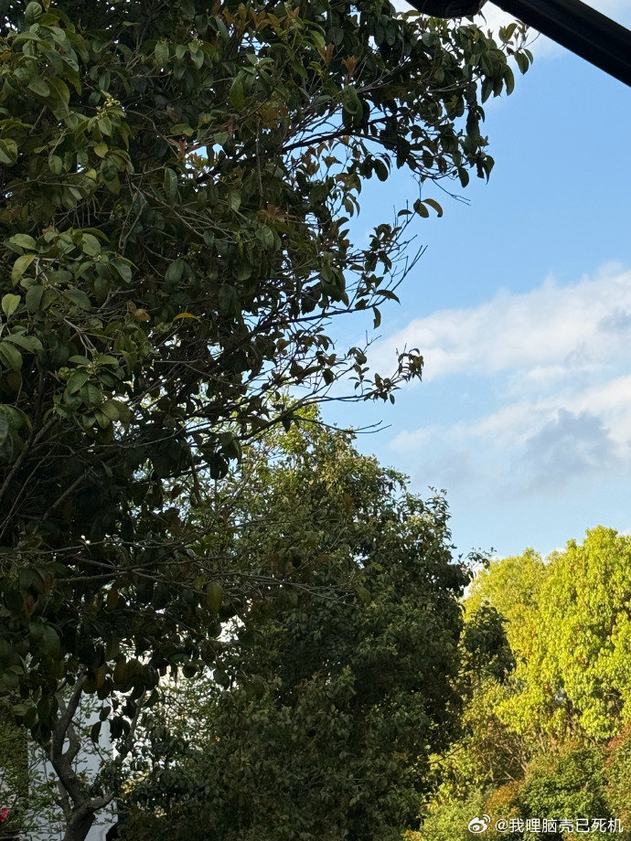 过春天的杨紫杨紫拍的春景 过春天的杨紫，杨紫拍的春景，是探出身子和小狗玩的紫妹啊