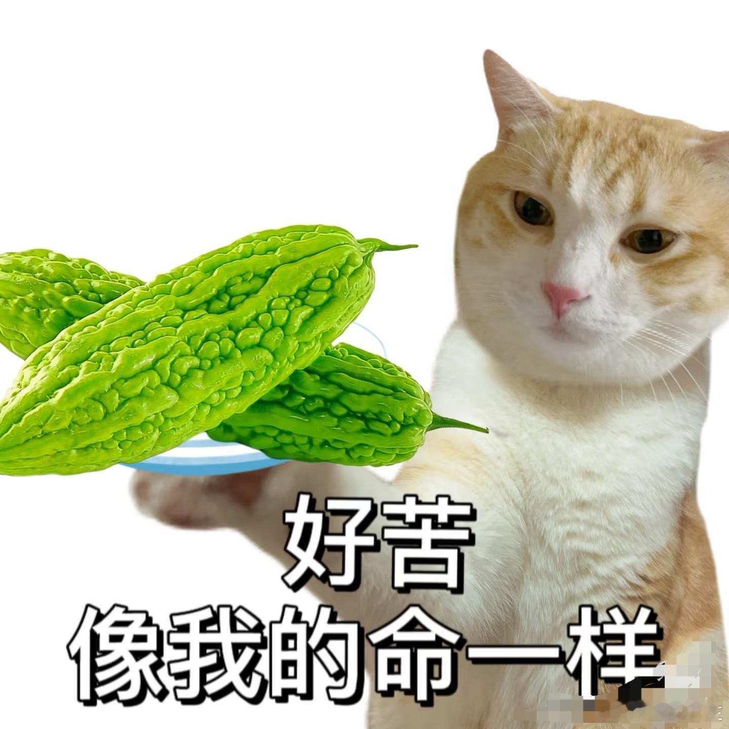 她一次性换了我一辈子的衣服不少人看过直播间卖衣服的，有时候衣服比较多很久都等不到