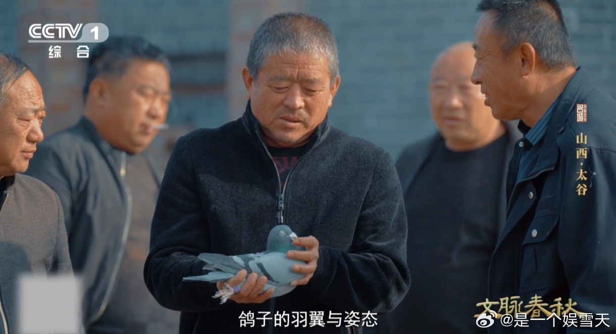 鸽子的尾巴居然能化作乐器山西这里的鸽子竟会唱戏曲 太谷群鸽齐飞，哨音漫天，如同戏