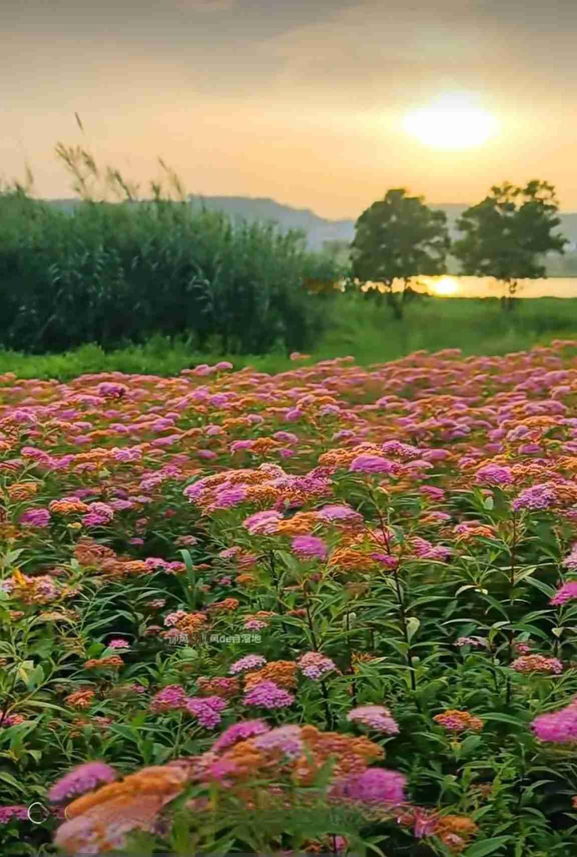 我的今日状态：😁轻松愉快
我这里的天气：☀️晴天