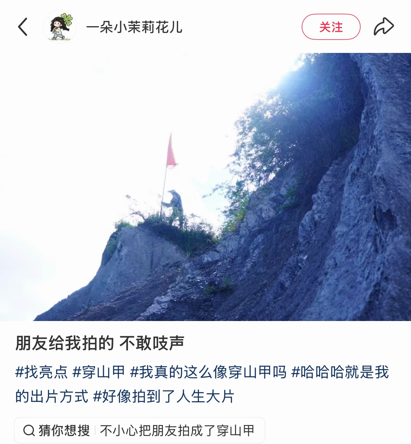 穿山甲也能分享自己的生活 
