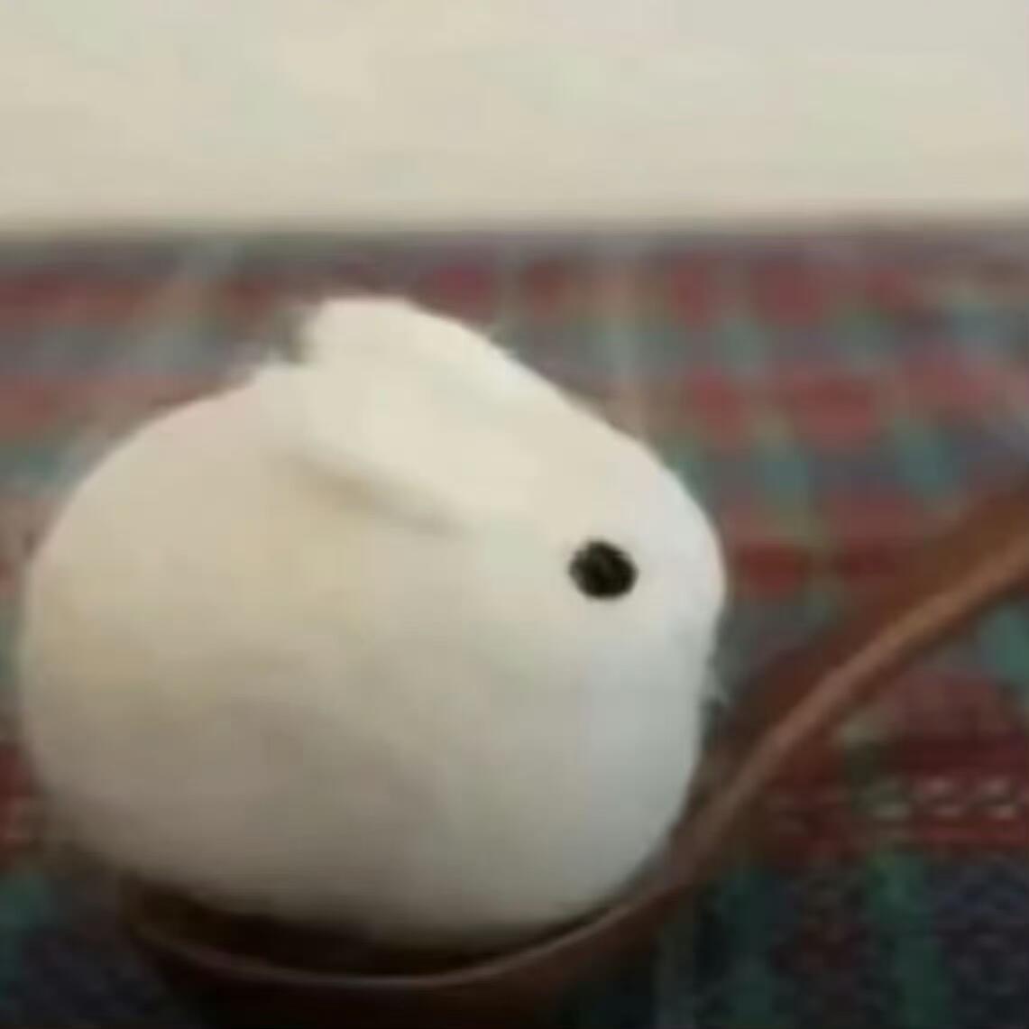 兔 你萌萌的₍ᐢ..ᐢ₎♡ 