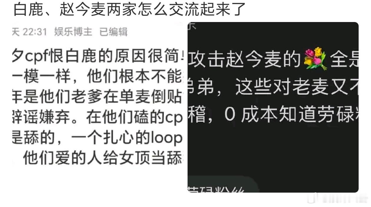 白鹿赵今麦粉丝赵今麦白鹿粉丝白鹿赵今麦发生什么事了，怎么两家粉丝交流起来了 