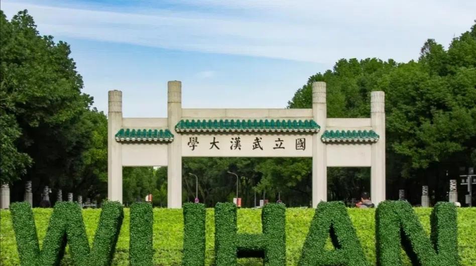 武汉大学女教师被86页长文举报破坏他人家庭
    武汉大学再卷入争议，学校一名