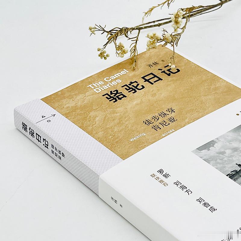文学汇 他世界丨牵着骆驼穿越沙漠的想法，到底是从什么时候开始的?我曾经两次深入撒