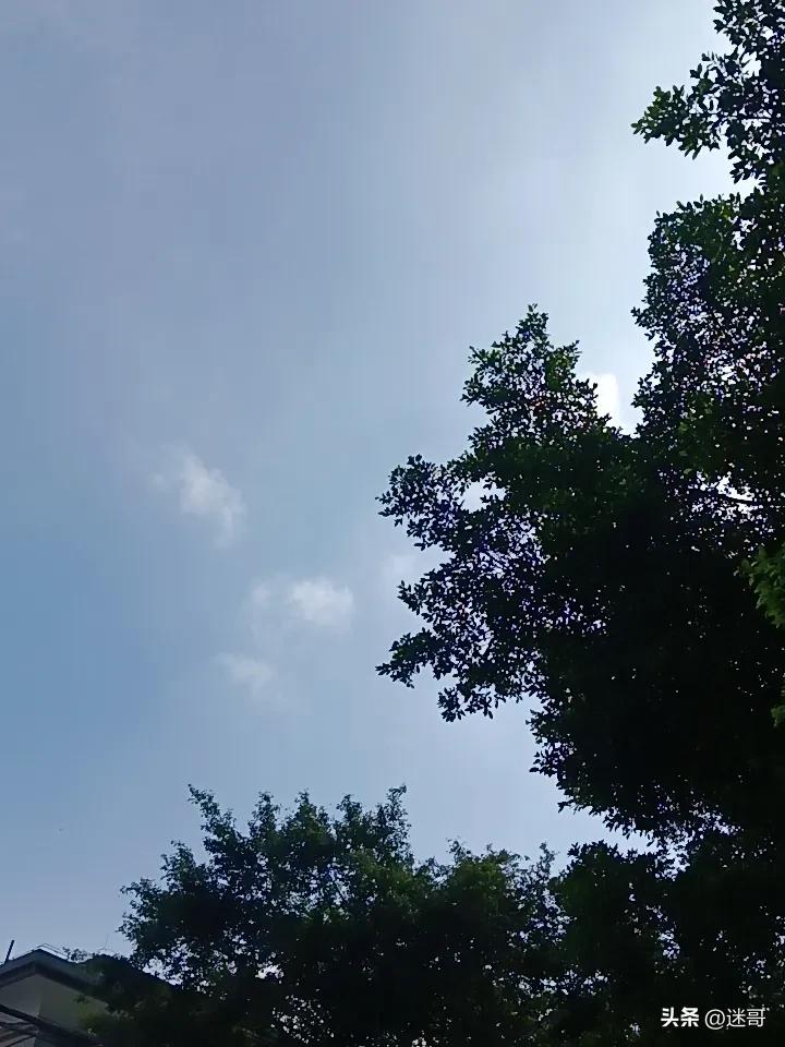 晒图笔记大赛今日广东。