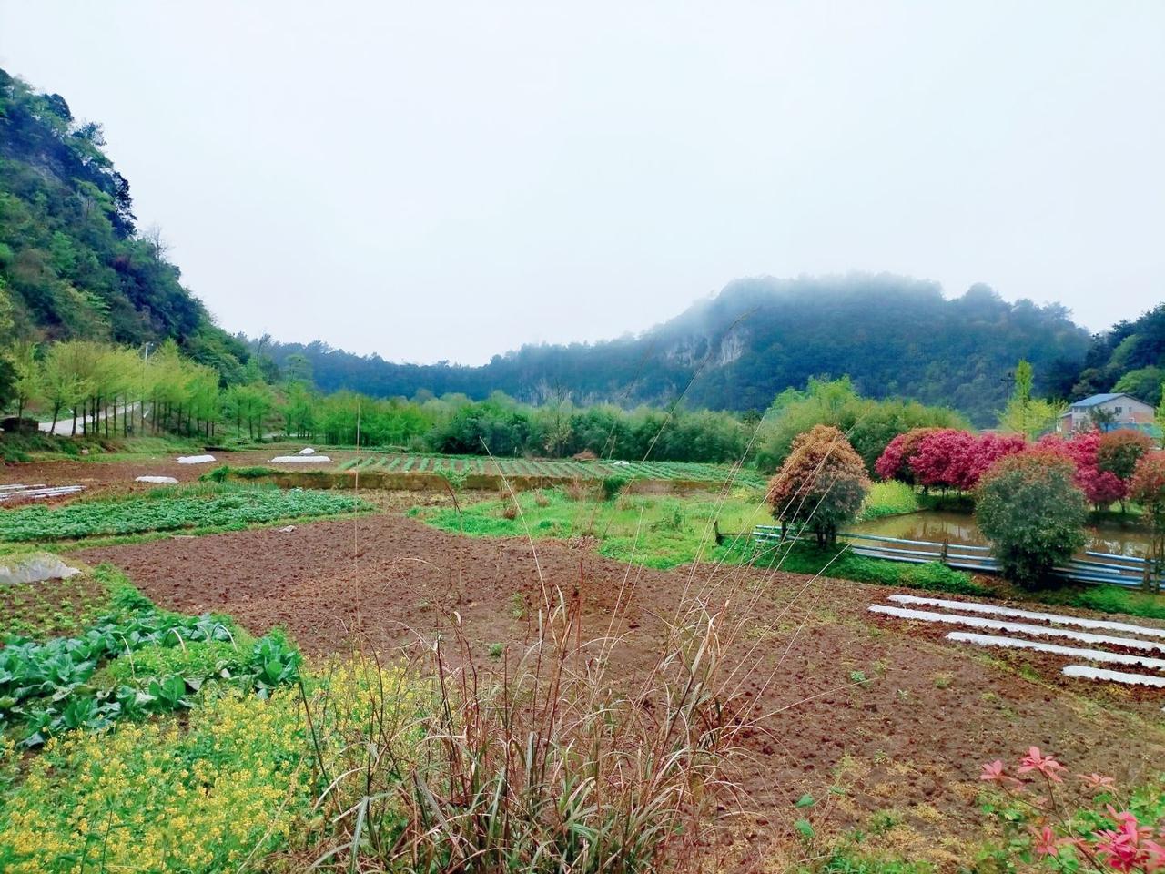 重庆地理周.渝景拾零之“大娄山.李公坝”。重庆市綦江区石壕镇万隆村花坝，为大娄山