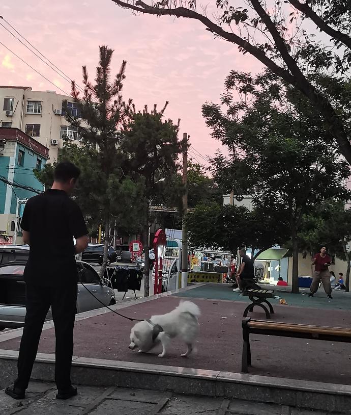 谈恋爱时间长了，真的会因为“审美疲劳”导致劳燕分飞，分道扬镳的吗？

同学儿子，