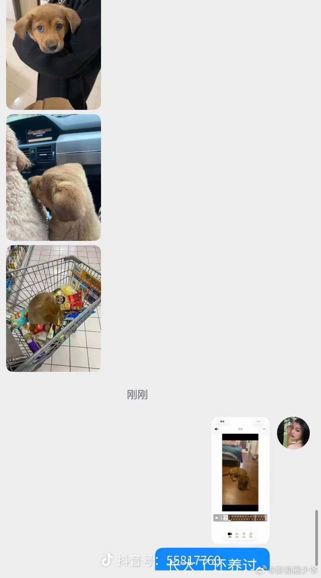 有网友在九成美 评论区称：我姐妹也谈过 被他迷s了为他花q，帮他养狗这是他的狗 