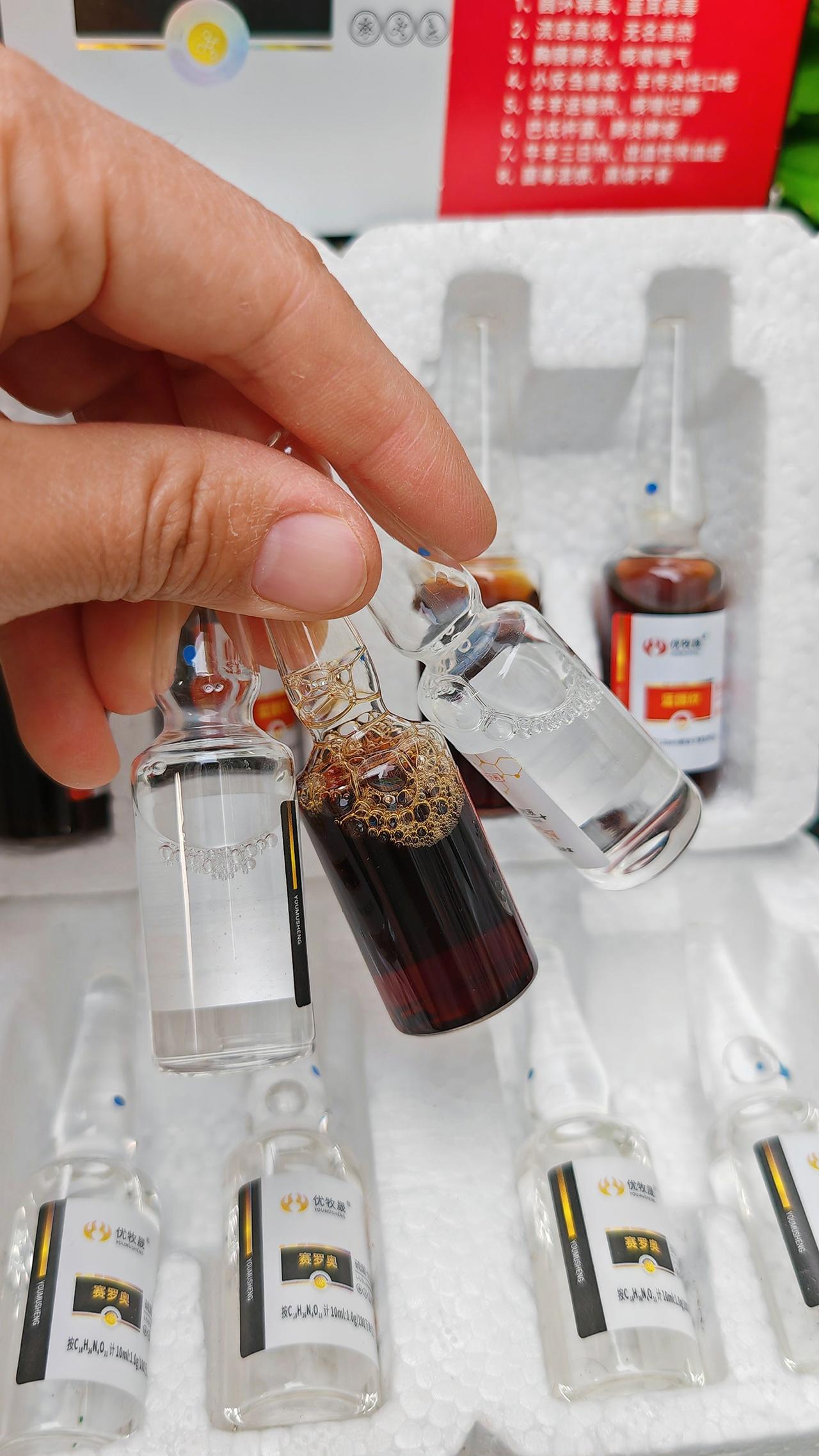 养羊人 牛羊养殖 农村养羊