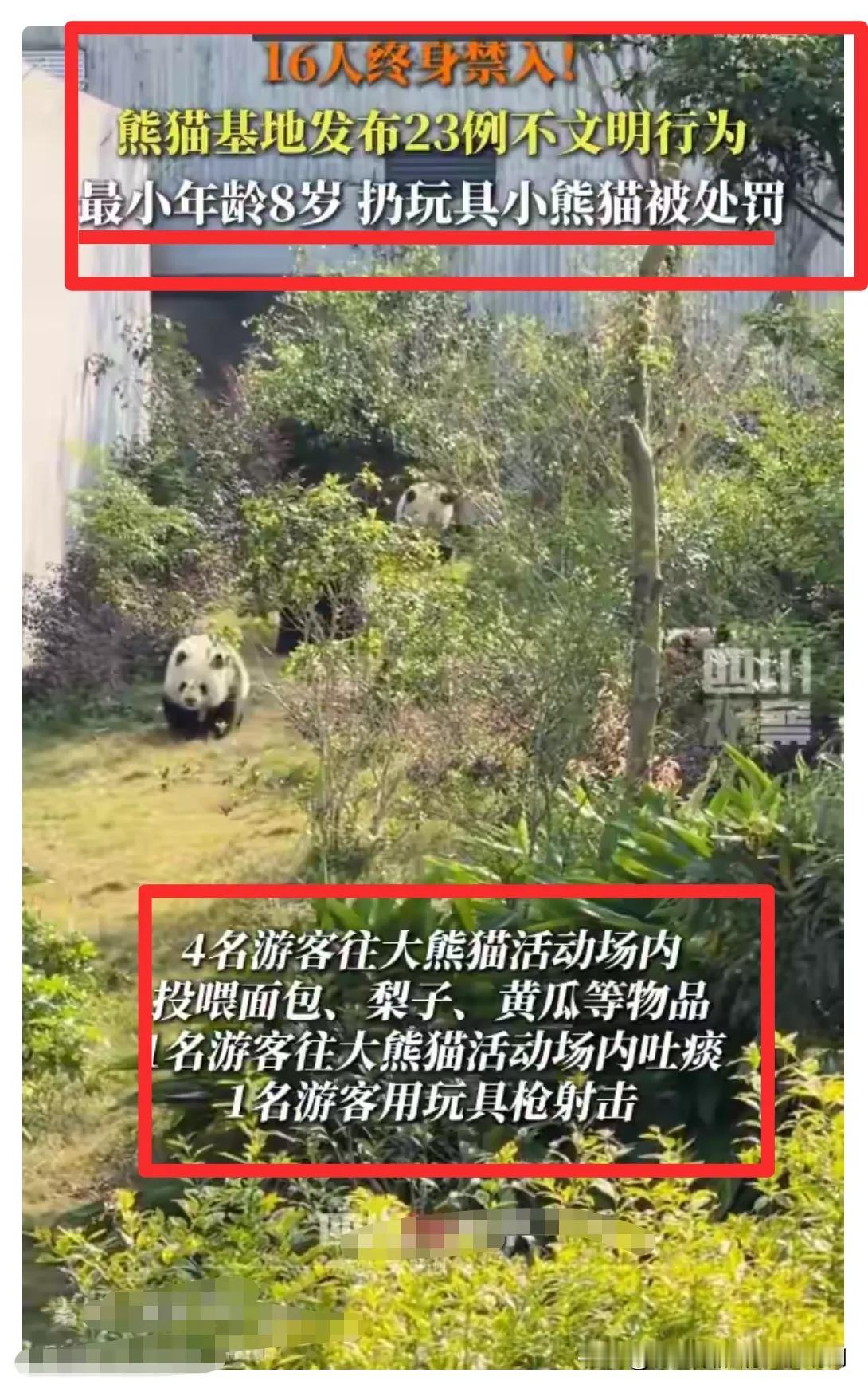 上热搜！8岁小孩被终身禁止进入熊猫基地！只因为扔玩具小熊猫不文明行为。
    