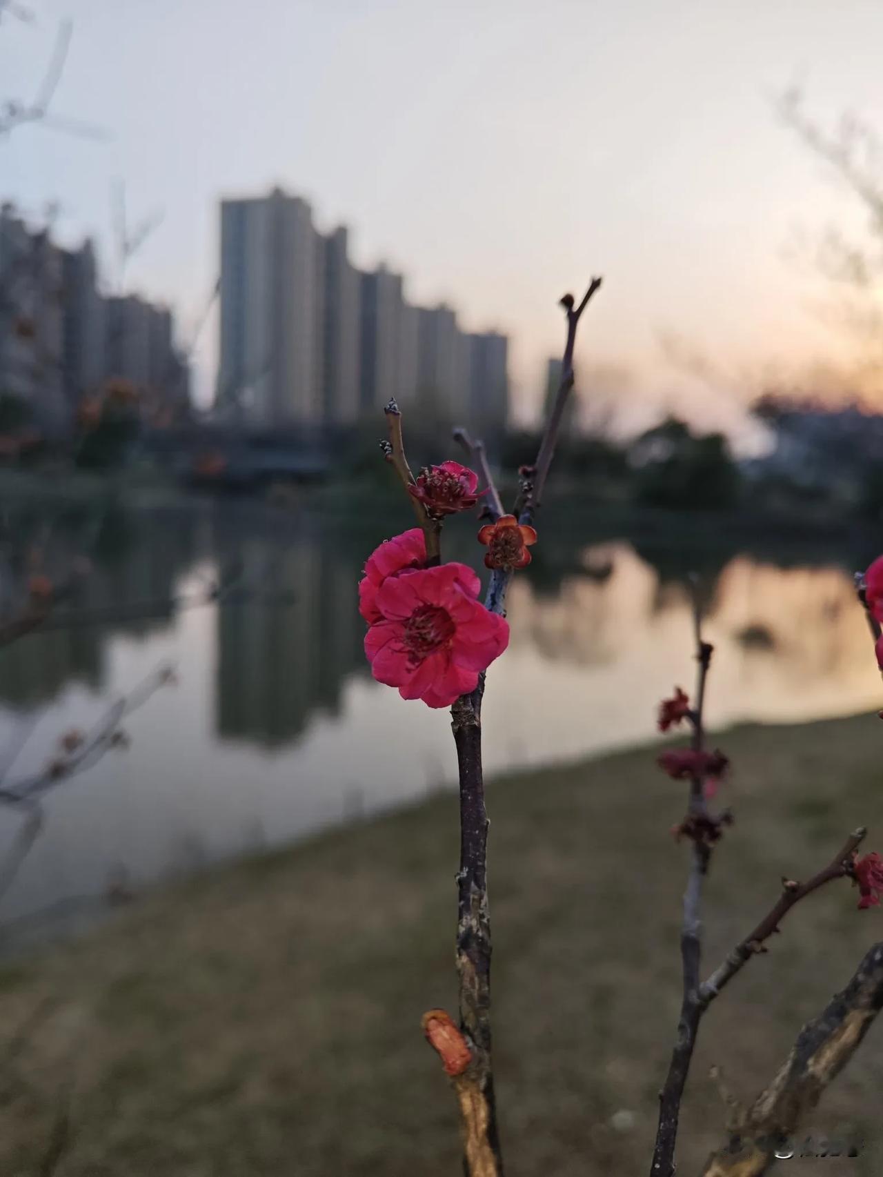 老战友你在哪儿寻找老战友