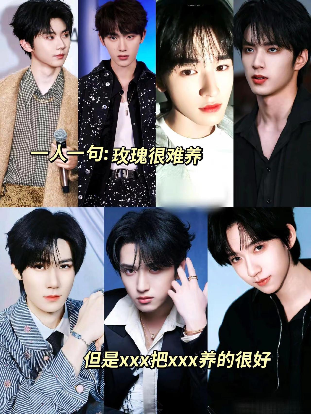 一人一句：玫瑰很难养 但是xxx把xxx养的很好 时代少年团 @作者助手