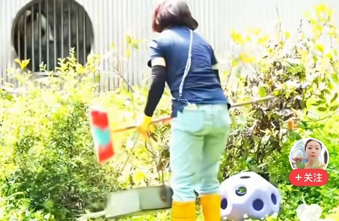 福宝福公主换奶妈了
不知道这个奶妈可不可以戴个手套和我们的公主握个手呢？
听说这
