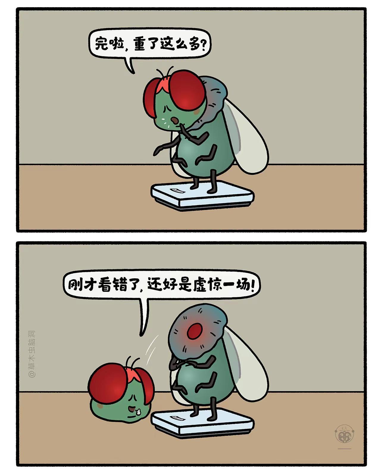 苍蝇秤体重。嫦娥打工兔 第八九七集