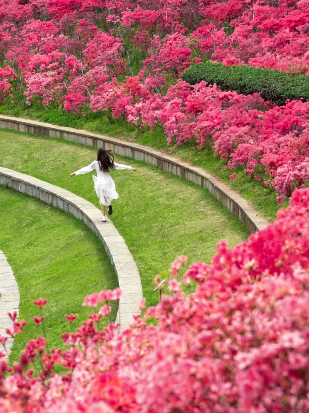 南京本地人私藏18个赏花地，最后一个绝了‼️