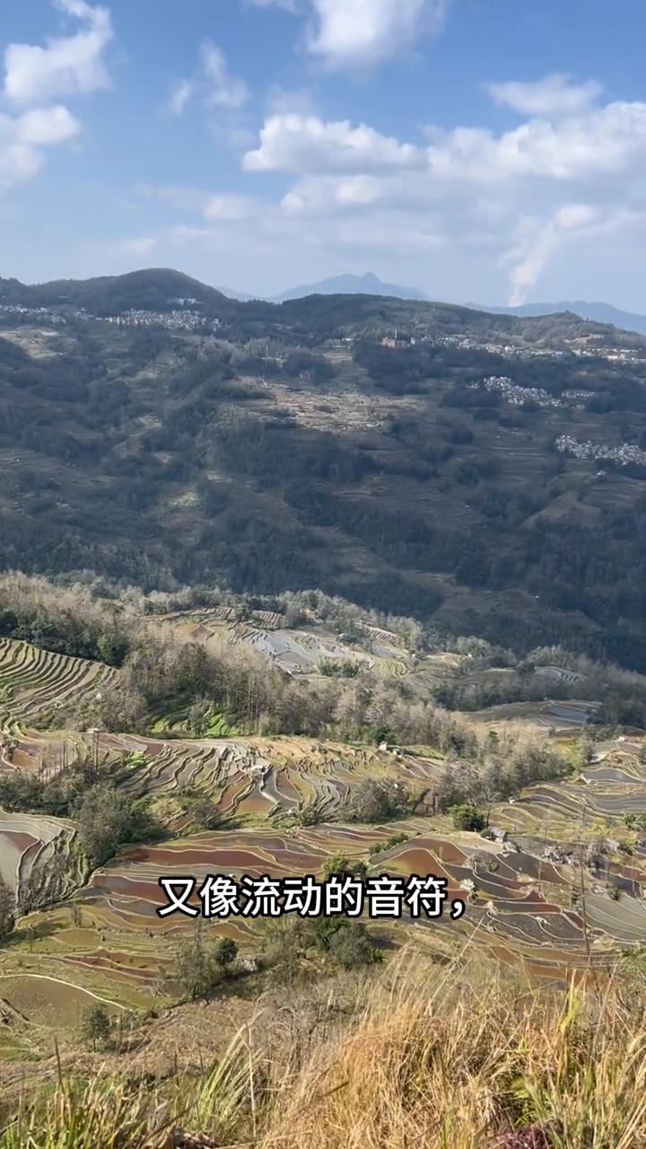 哈尼人智慧与音乐。
各位朋友，今天我要给大家推荐一个元阳梯田里的"秘境"--老鹰