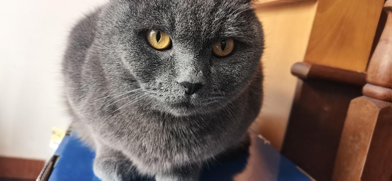 婆媳关系很难处啊