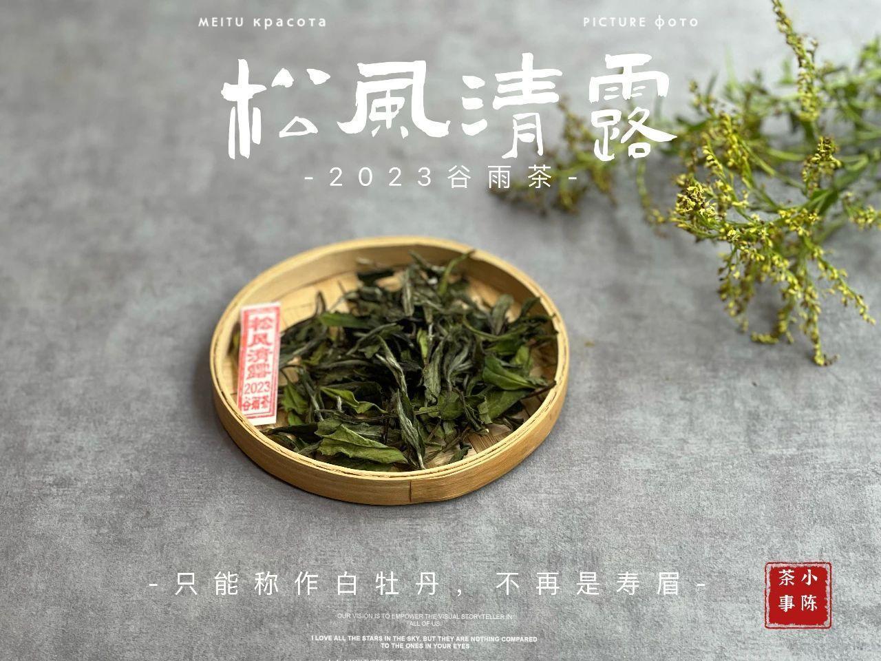 白茶要存10年才能出药香？
关于白茶的药香，茶圈中有太多太多的误解和谣言。
想到