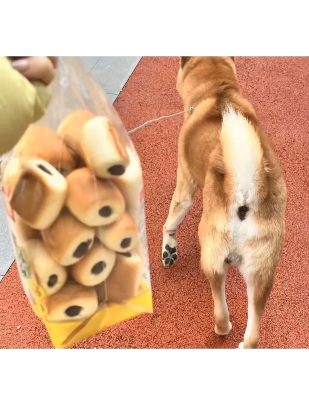 太癫了，最后一个更癫 