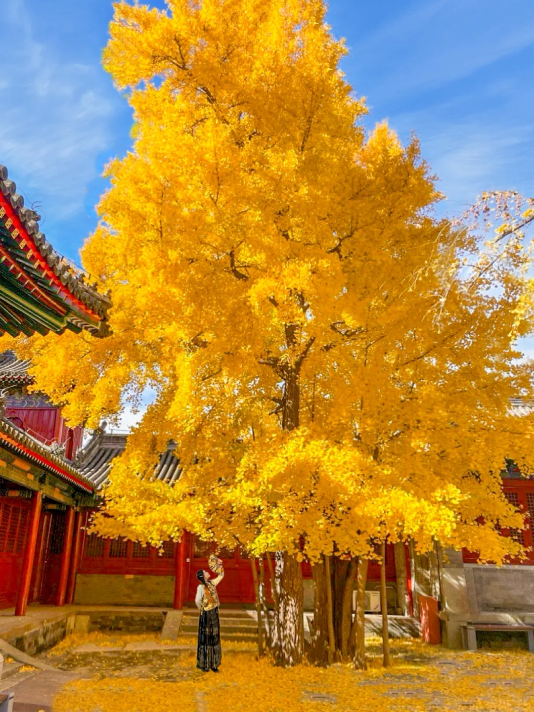 北京📍尘封500多年的神秘寺庙，限时开放🍂