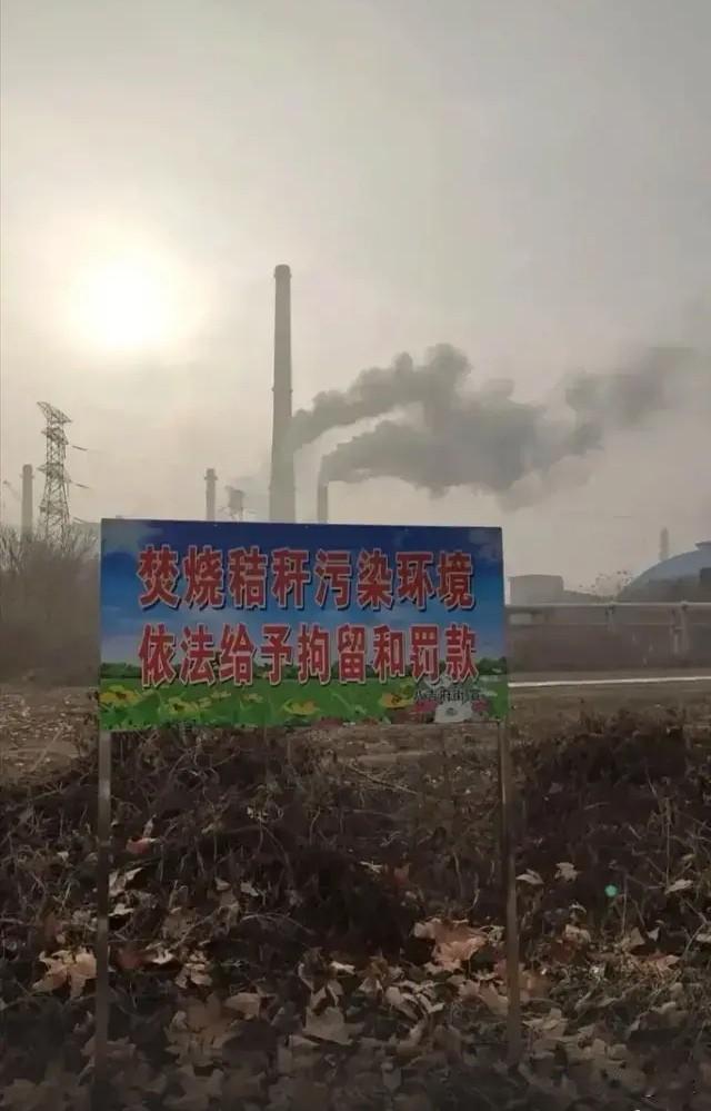今天出门在门口碰见了邻居家的大叔，这个大叔常年在外地打工，平时很少回来。我问他怎