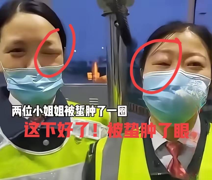 都说了不让你开箱开箱！你非得要开！好了吧这下，无话可说了吧！
养蜂人过收费站遇上
