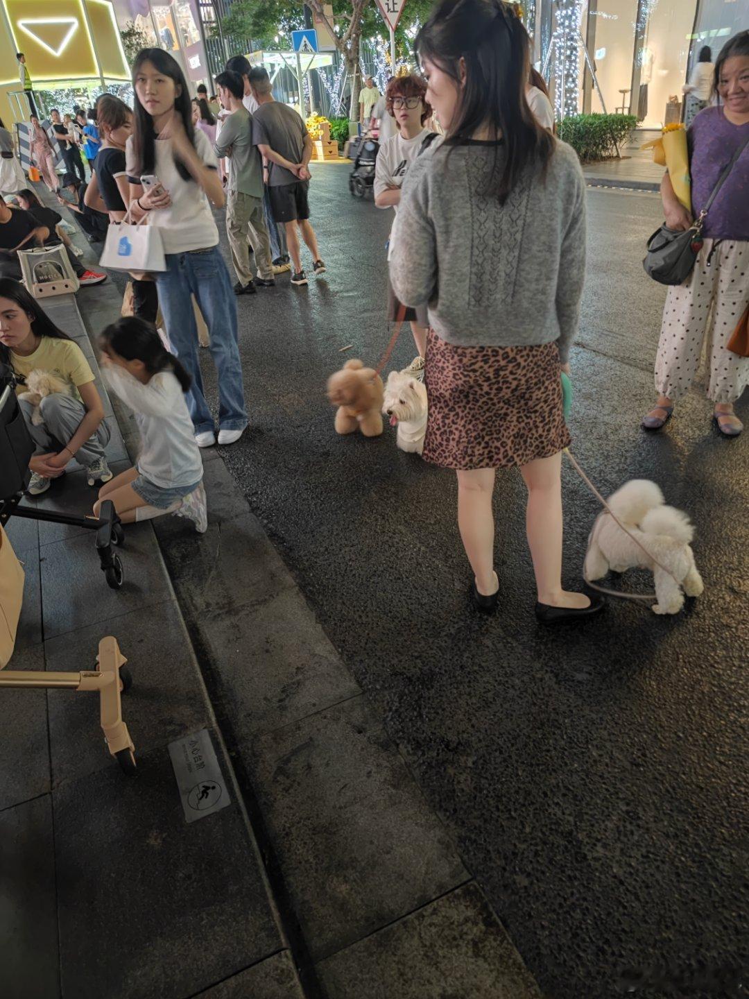 狗狗的聚会 深圳·华润城万象天地