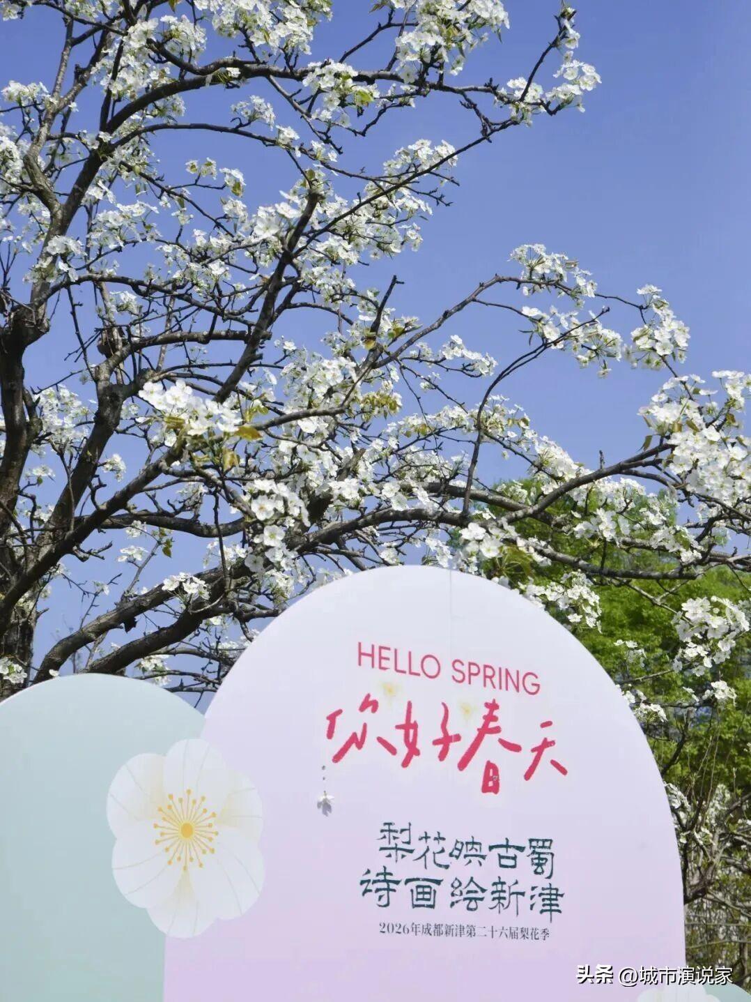 成都全城花海已上线！错过再等365天！今年的菜籽花基本上消失了！

接下来欣赏更