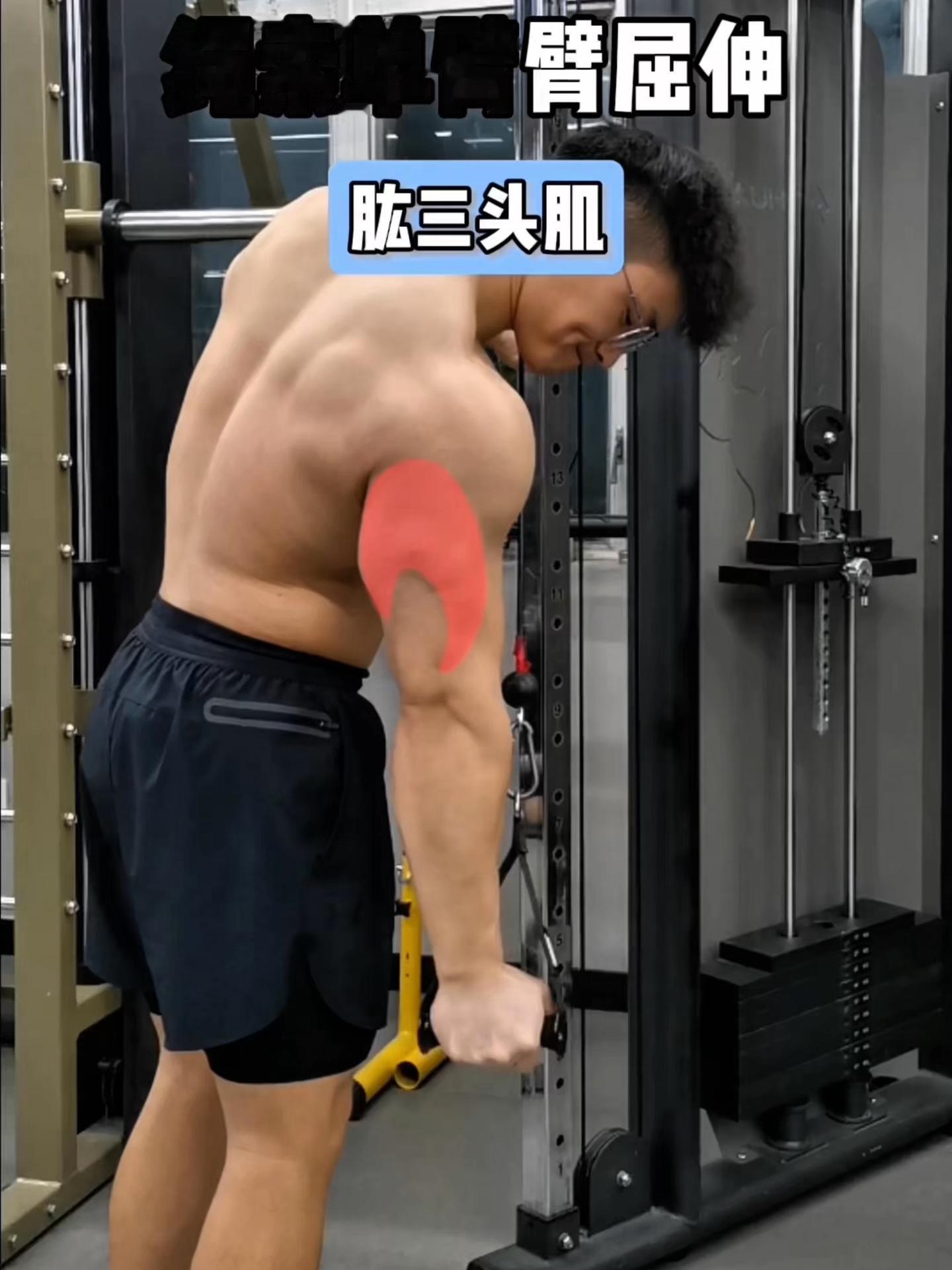 绳索单臂臂屈伸，保姆级教程！ 一、目标肌群 绳索单臂臂屈伸，肱三头肌 ...