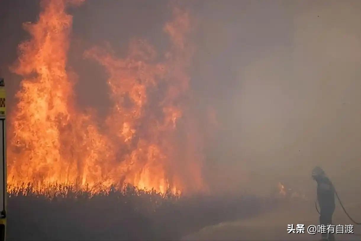 受热浪袭击的影响，法国又发生了一场特别巨大的山火，结果导致20多万人无家可归，他