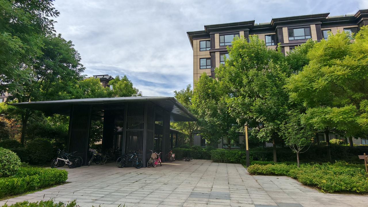 城市禁狗，刻不容缓。
这是群众的呼声，
也是民众的刚需！

你看看现在马路上，小