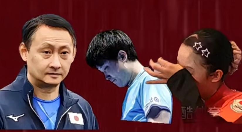 世乒赛折戟
张本一家赛后落寞时刻
伦敦世乒赛决赛惜败，
日乒张本智和满脸不甘
不