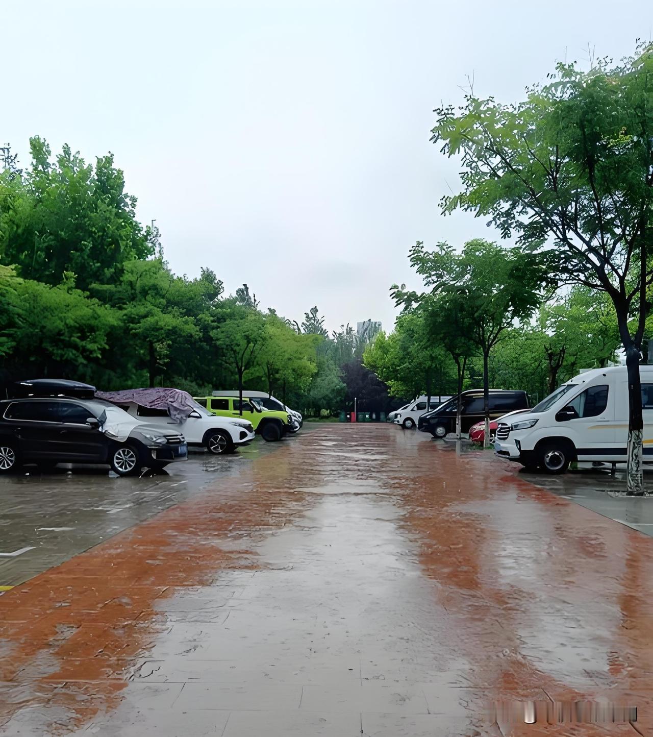 中元节
一场中元雨，道尽人间离别思念。
有没有发现，每到中元节前后，常常阴雨绵绵