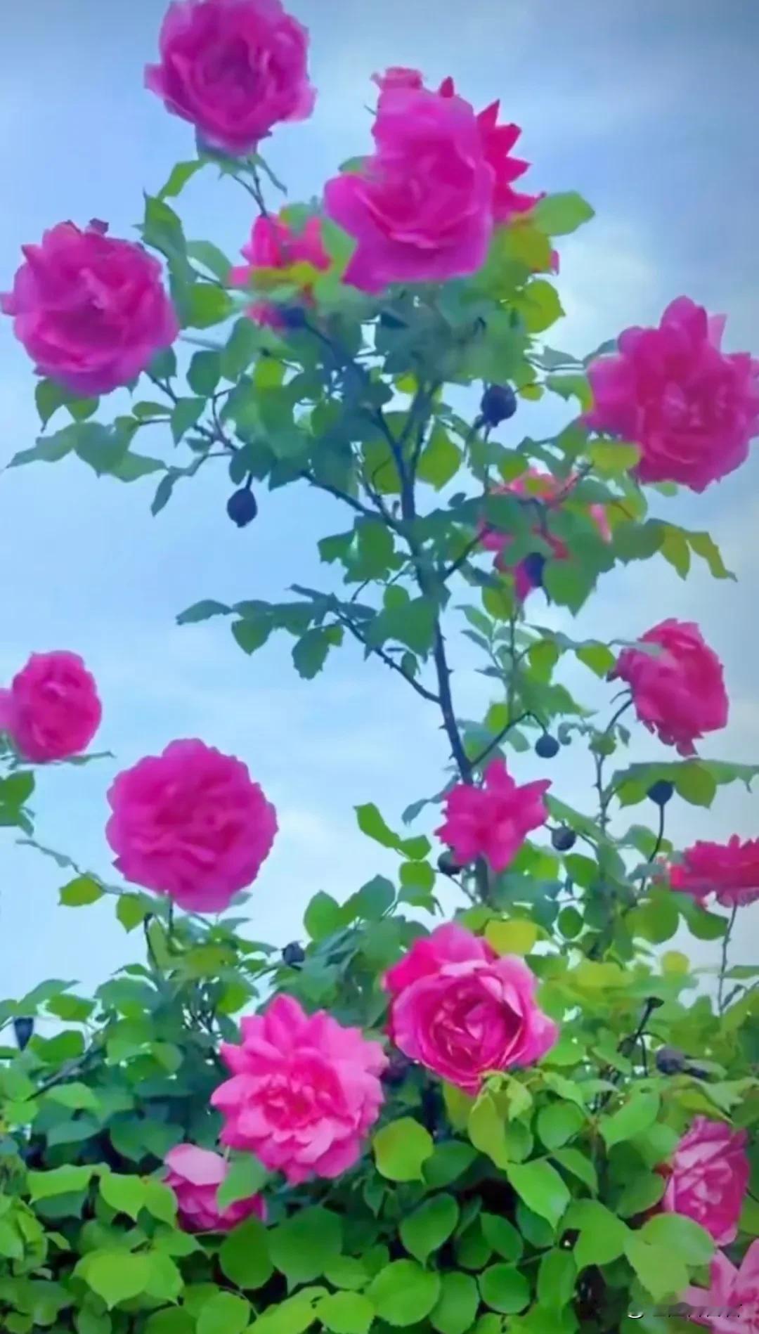 #上联:酒里千秋梦，下联:请高手对#
上联:酒里千秋梦，
下联:花中百种愁。