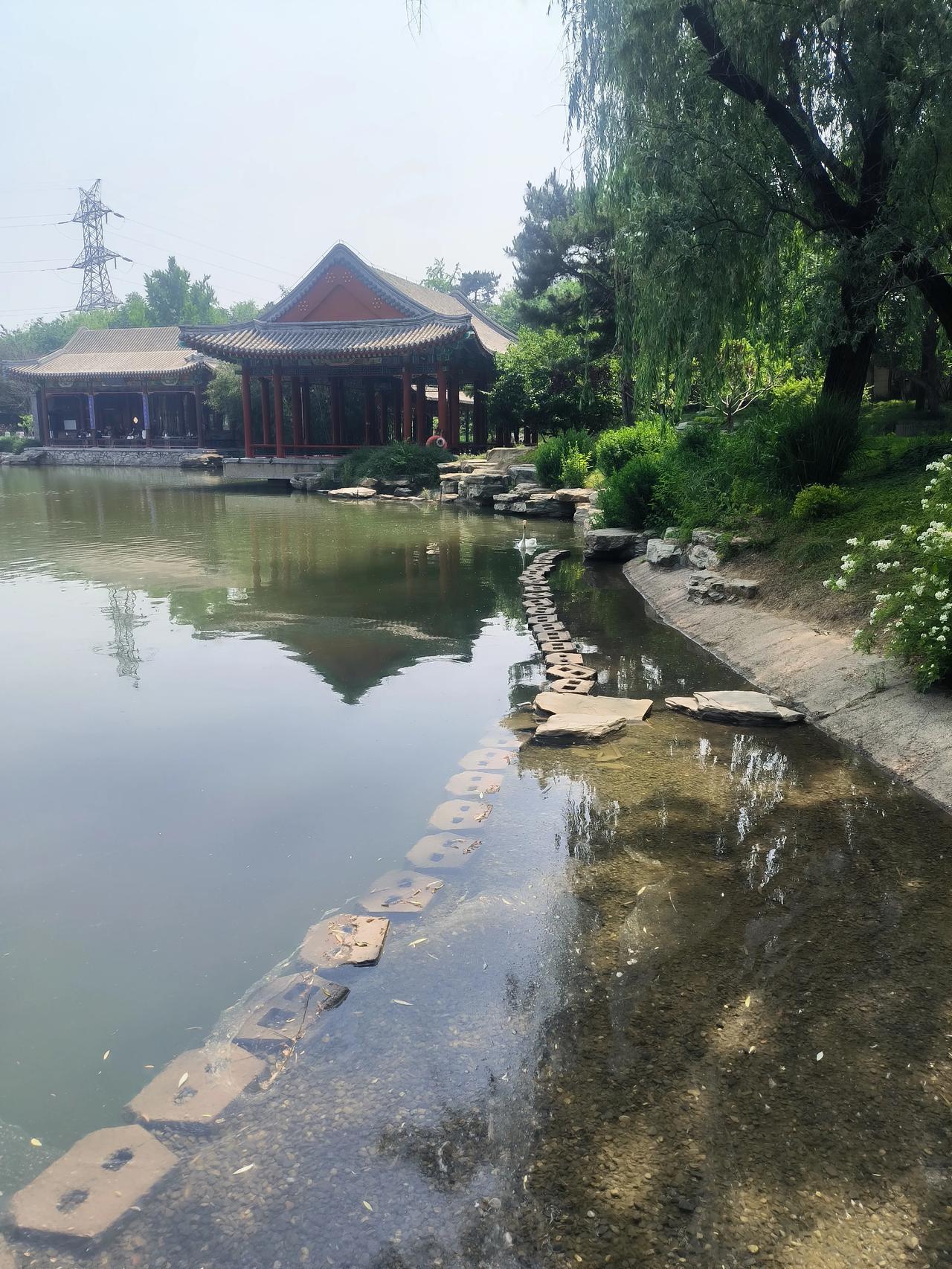 坐标保定。我的一位朋友几年前曾经在教培机构做过教培招生，深知行业真相，听听她对学