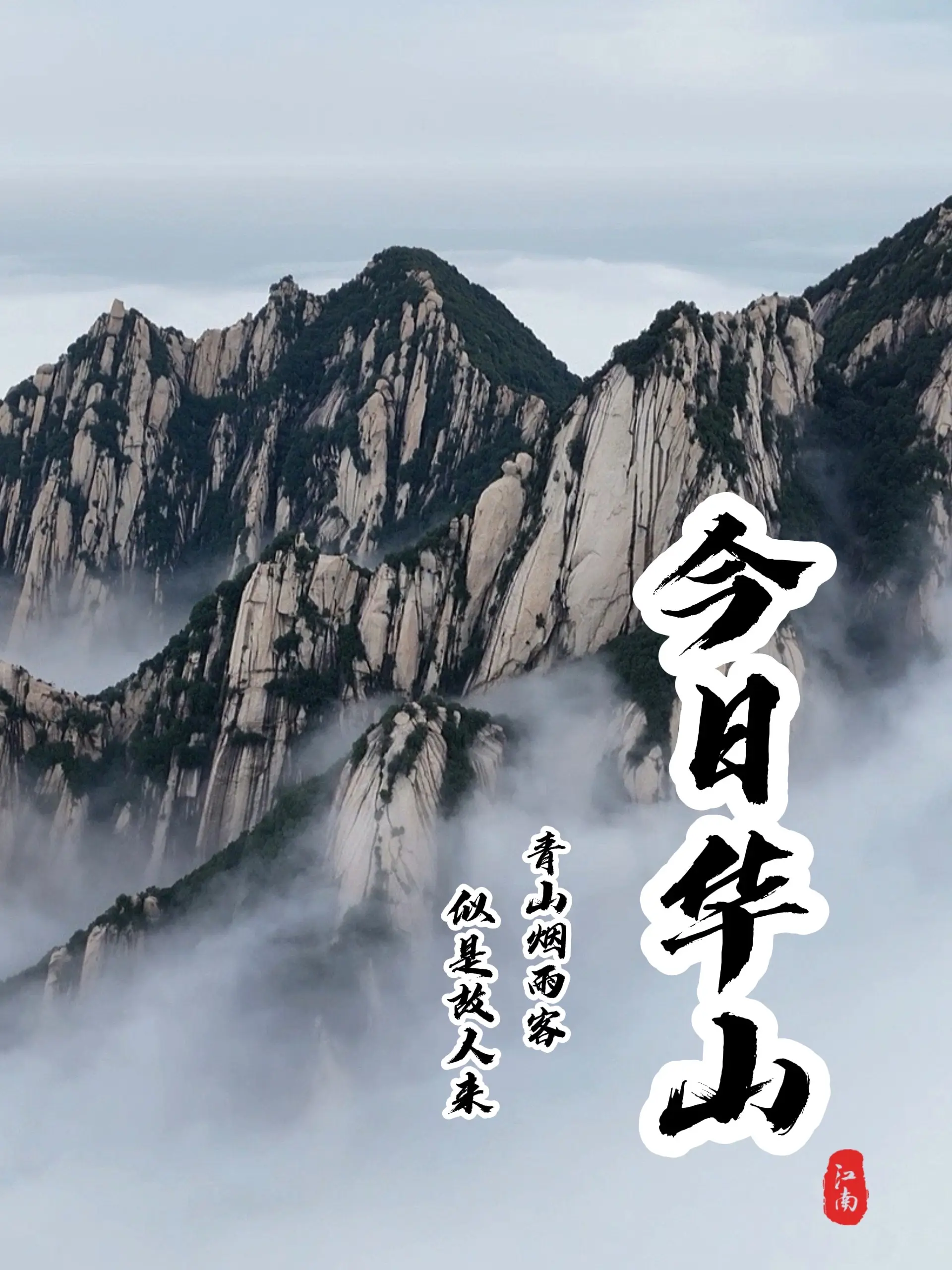 今日华山，风光无限。雨后的华山，壮观云海