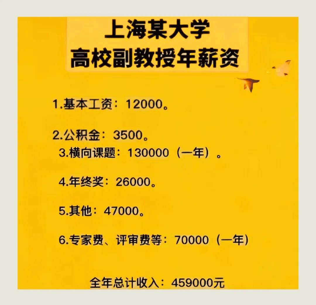 副教授这个年薪属实可以了！#大学老师待遇#