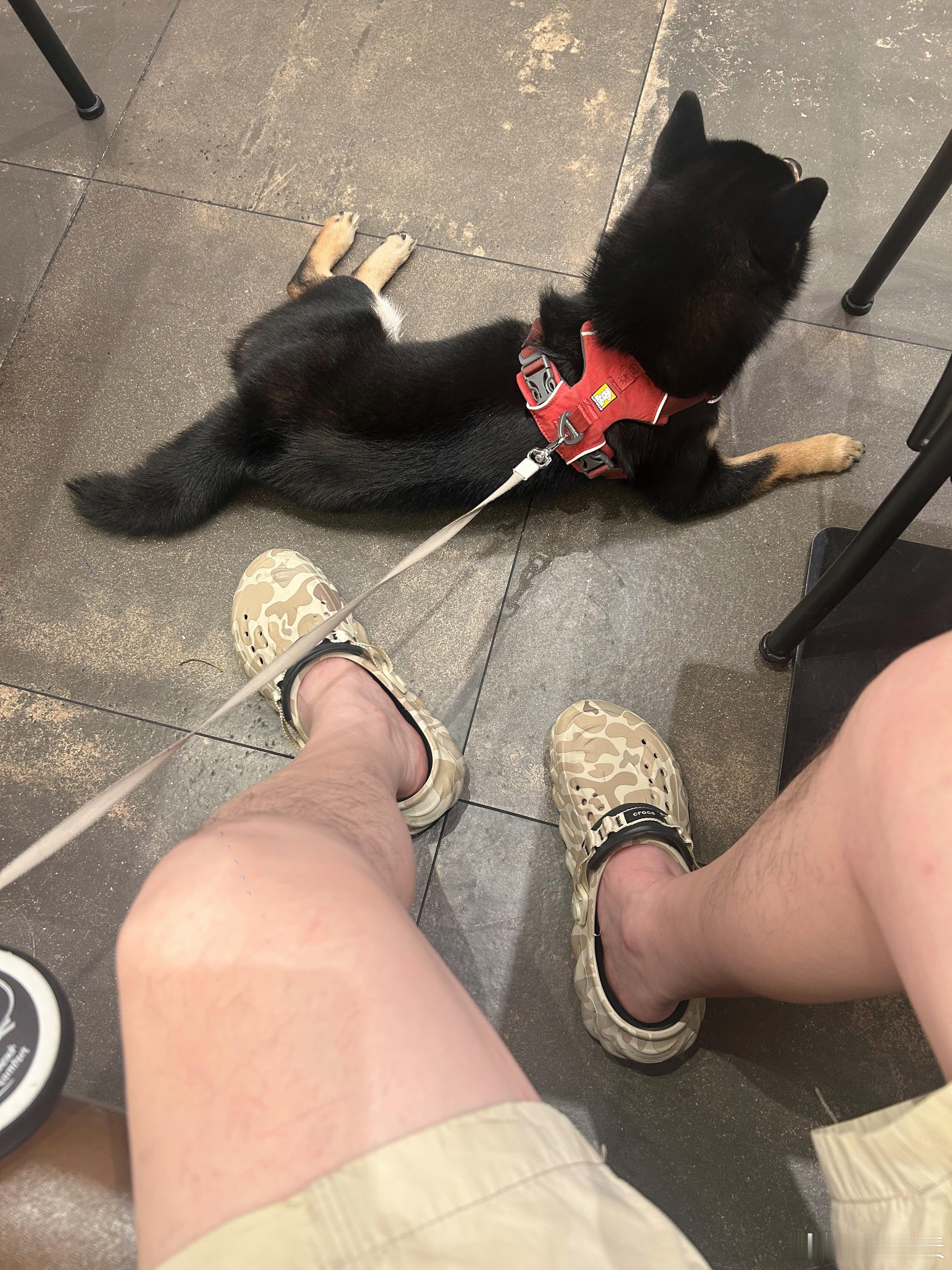 爱逛商场的小猪🐷 