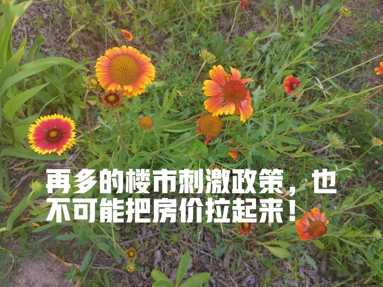 【再多的刺激政策，也不可能把房价拉起来】
近年来，我国房地产市场经历了一系列的调