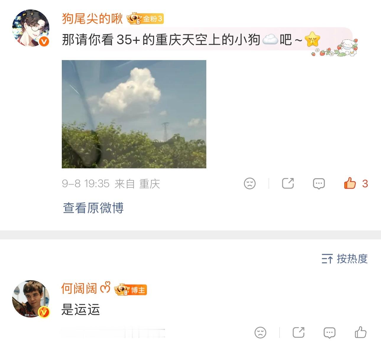 哦哦原来运运才是正缘[柯基]这么小众的MBTI也能一模一样，当司机我也是OK的，