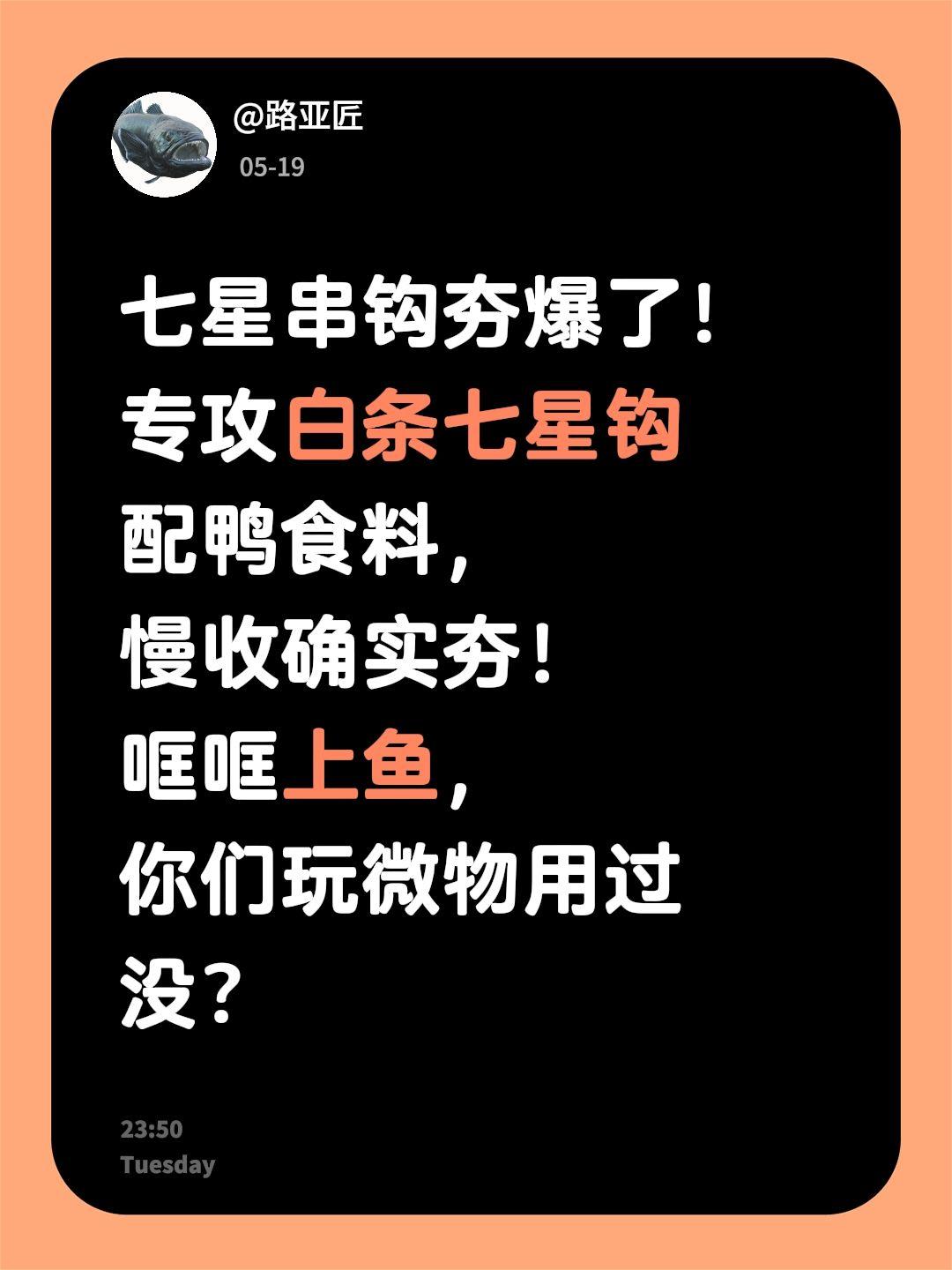 七星钩钓白条夯爆了！七星串钩夯爆了！
专攻白条七星钩配鸭食料，慢收确实夯！哐哐上