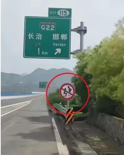 图中红圈里的标识是啥意思？

        我问豆包：回答说是一种禁令标志，含