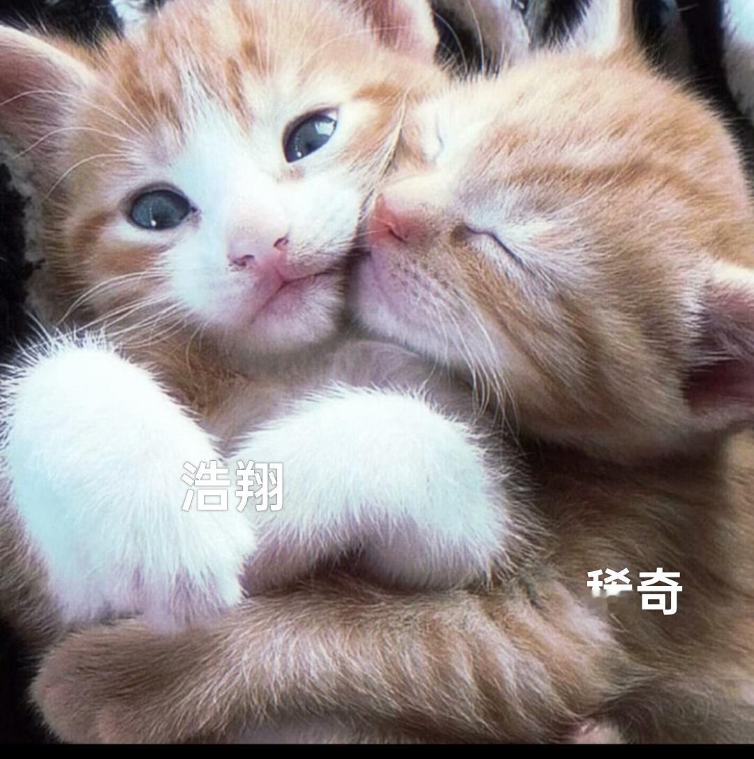 好想浩翔 