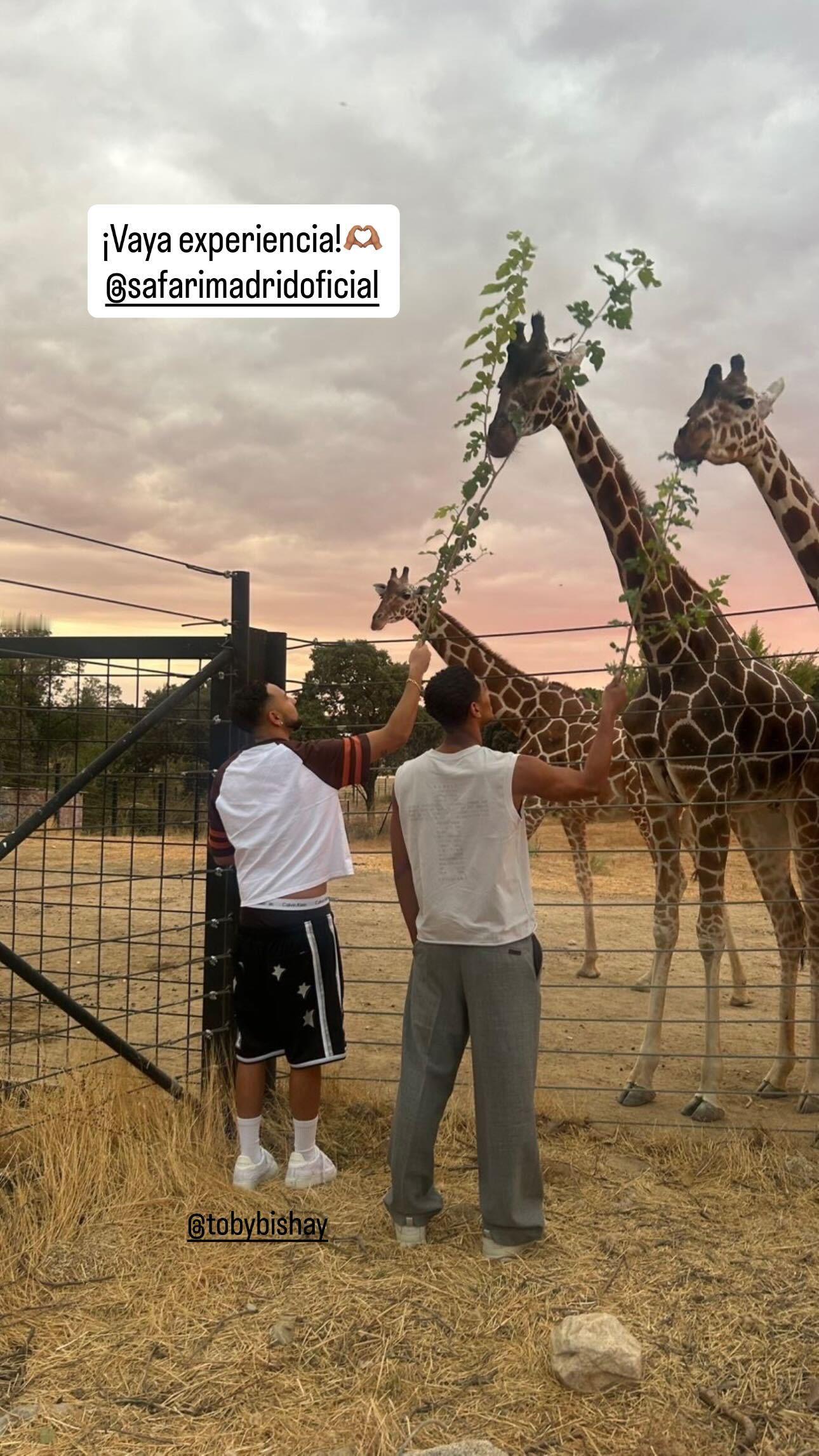 快拍更新和toby一起看长颈鹿去了🦒 ​​​