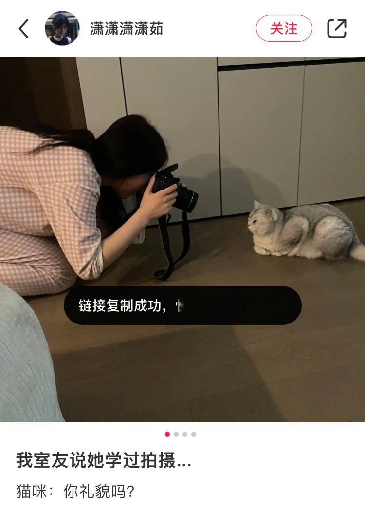 🐱：你礼貌吗[怒] ​​​