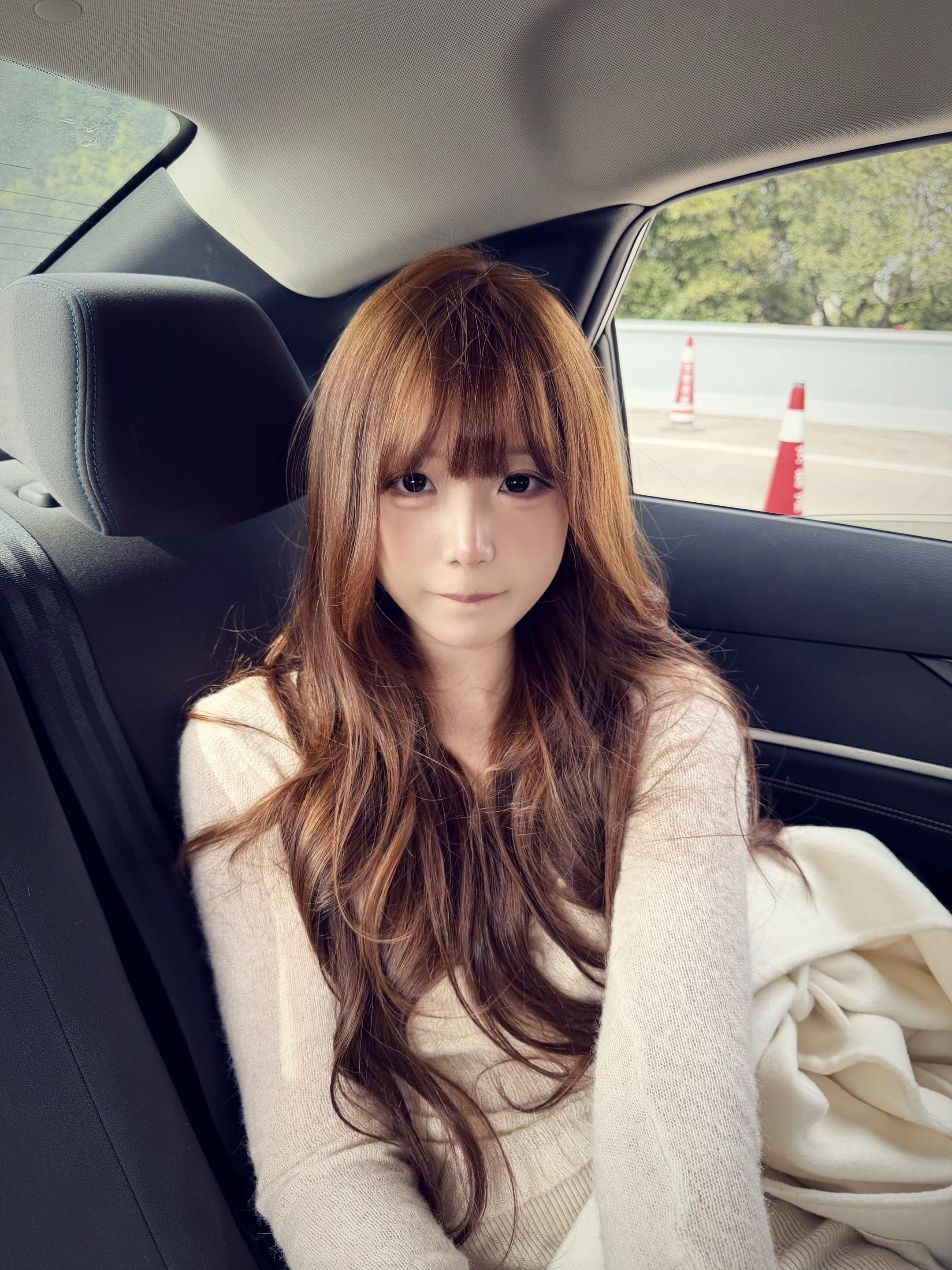 我又原谅你了 我又和你一起欺负我