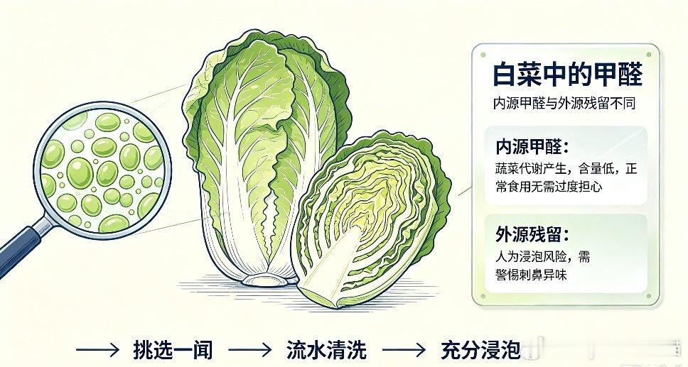 甲醛白菜 工人癌症风险甲醛白菜上热搜，买菜别被吓到！！！最近甲醛白菜话题热度很高