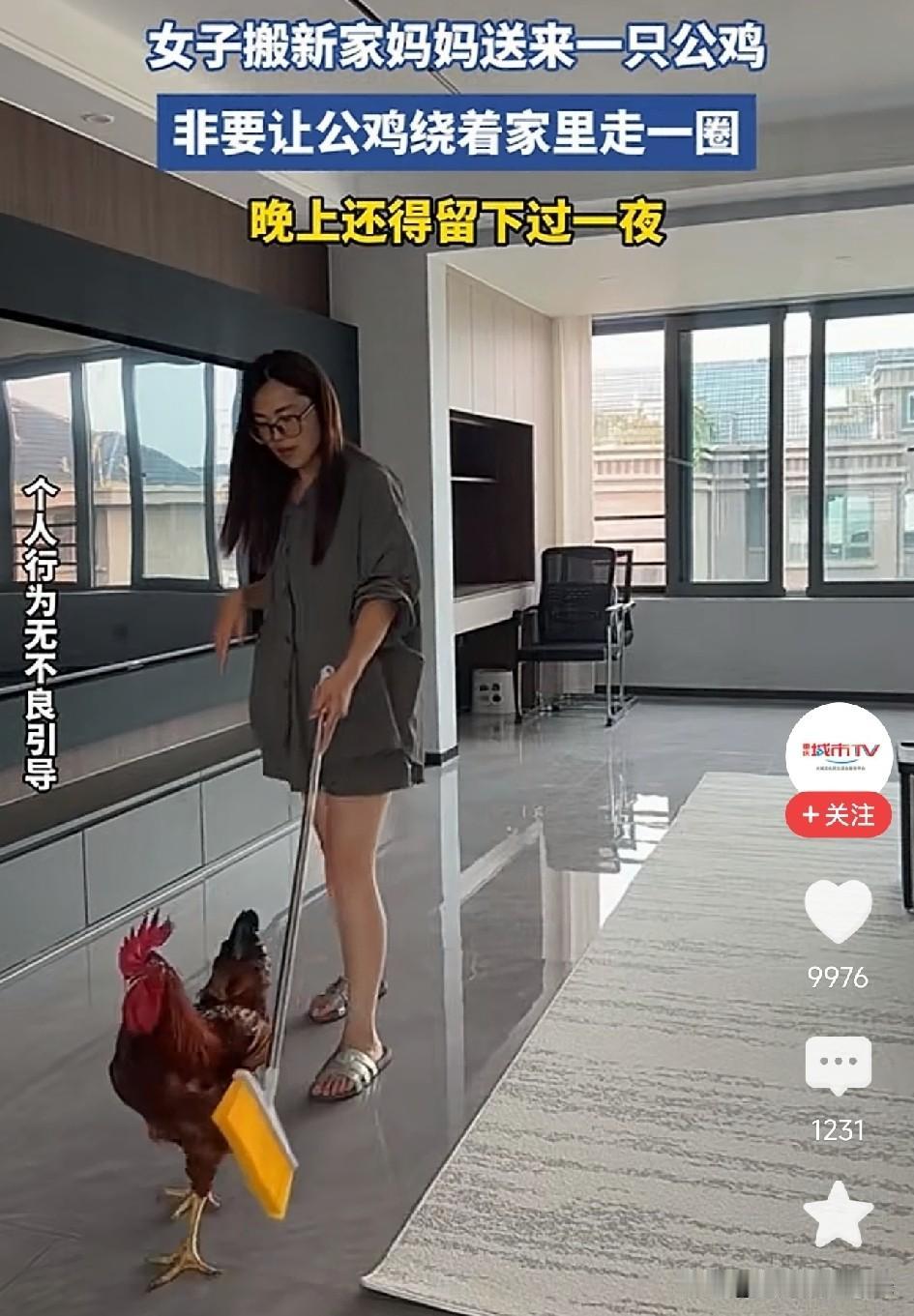 太暖了！女儿搬进城市高层新房，妈妈大老远从老家抱来一只活蹦乱跳的大红公鸡，非要让